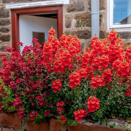 Chimes Cottage Гисборо Экстерьер фото