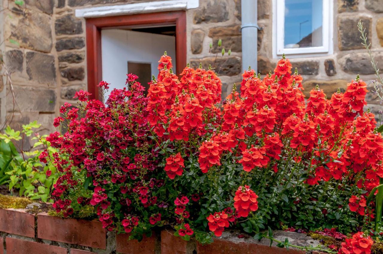 Chimes Cottage Гисборо Экстерьер фото
